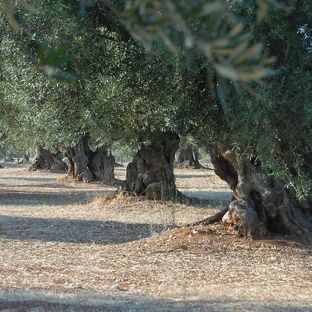 Appartamento Casa Campari Ostuni Esterno foto