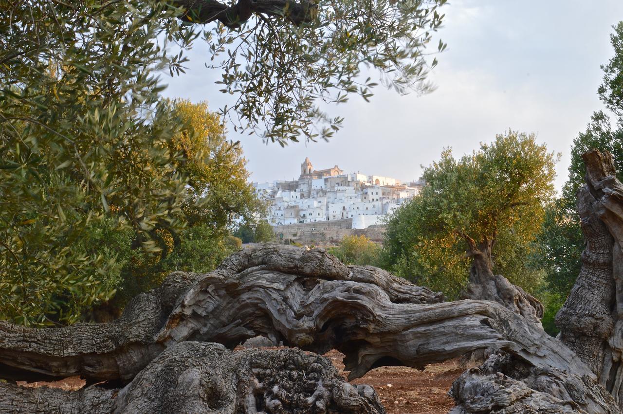 Appartamento Casa Campari Ostuni Esterno foto